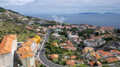 T1+1 no rés-do-chão | varanda ampla | 4 arrecadações | 2 estacionamentos | localização premium no caniço