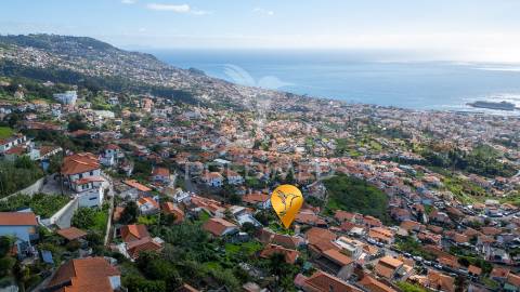 Terreno urbano com vista mar, no livramento, funchal