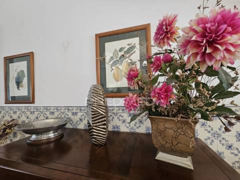 Herdade exclusiva no concelho de castro verde, alentejo