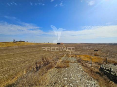Herdade exclusiva no concelho de castro verde, alentejo