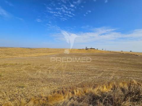 Herdade exclusiva no concelho de castro verde, alentejo