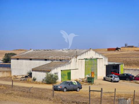 Herdade exclusiva no concelho de castro verde, alentejo