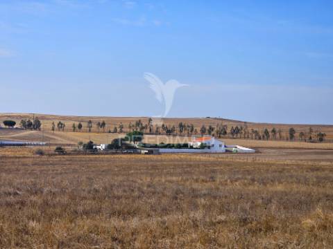 Herdade exclusiva no concelho de castro verde, alentejo