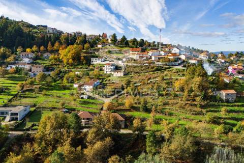 Quatro artigos duas moradias e duas ruínas, ribeira de pena