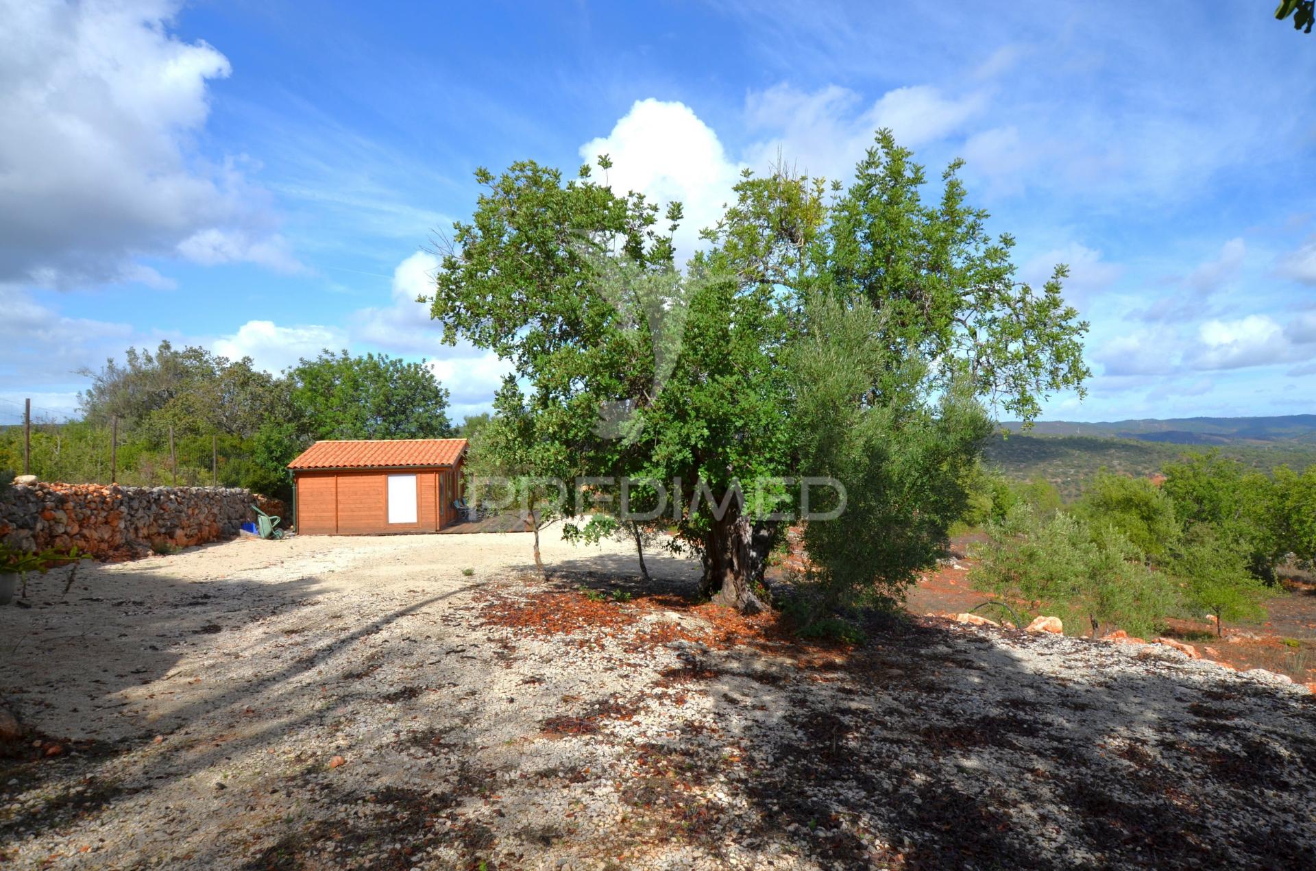 Terreno em nave das mealhas, salir