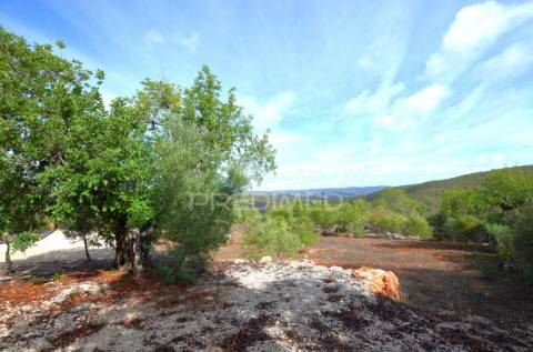 Terreno em nave das mealhas, salir