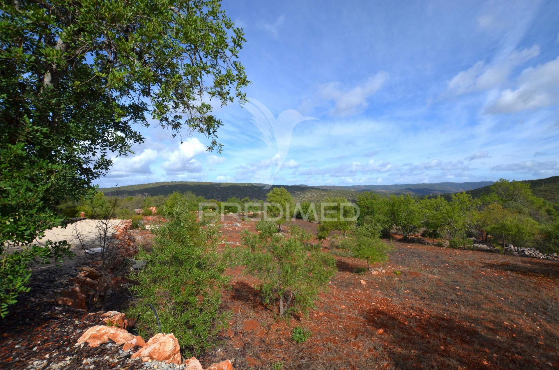 Terreno em nave das mealhas, salir