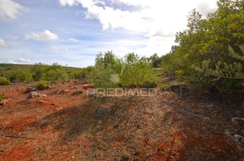 Terreno em nave das mealhas, salir