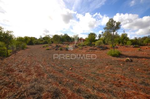 Terreno em nave das mealhas, salir