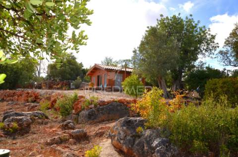 Terreno em nave das mealhas, salir