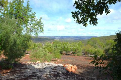 Terreno em nave das mealhas, salir