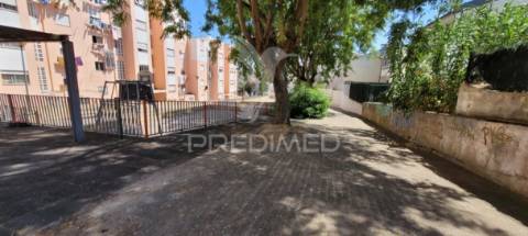 Loja são sebastião guerreiros