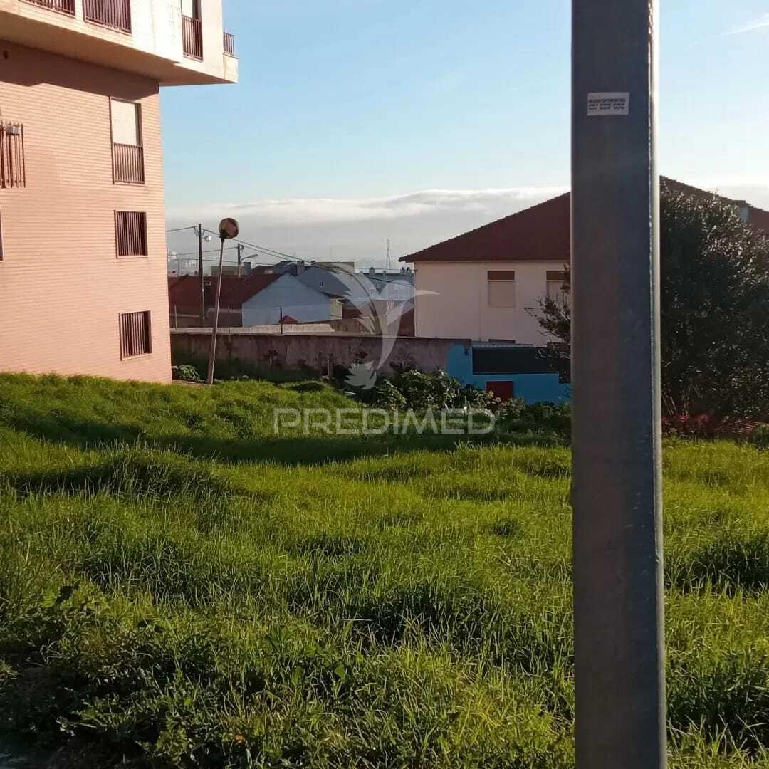 Terreno amadora