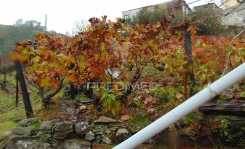 Moradia geminada para restaurar em vila real