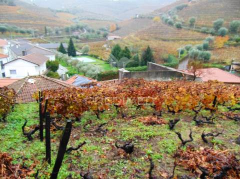 Moradia geminada para restaurar em vila real