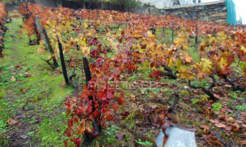 Moradia geminada para restaurar em vila real