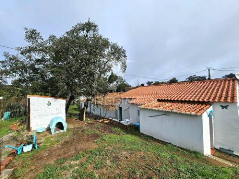 Moradia t3+1 com quintal nas fontes ferrenhas