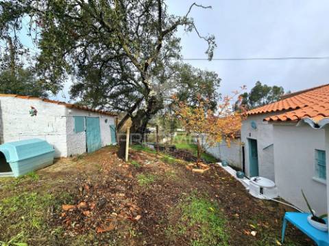 Moradia t3+1 com quintal nas fontes ferrenhas