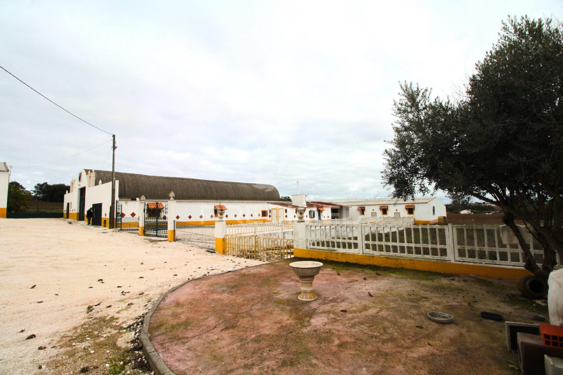 Terreno urbanizável com 38.500 m² – uma oportunidade exclusiva em sousel