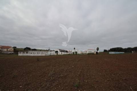 Terreno urbanizável com 38.500 m² – uma oportunidade exclusiva em sousel