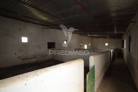 Terreno urbanizável com 38.500 m² – uma oportunidade exclusiva em sousel