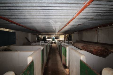 Terreno urbanizável com 38.500 m² – uma oportunidade exclusiva em sousel