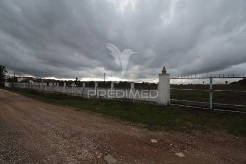 Terreno urbanizável com 38.500 m² – uma oportunidade exclusiva em sousel