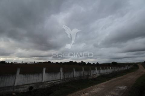 Terreno urbanizável com 38.500 m² – uma oportunidade exclusiva em sousel