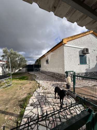 Oportunidade! moradia isolada penalva