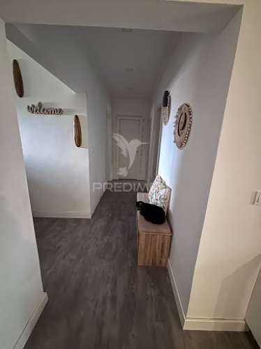 Oportunidade! moradia isolada penalva