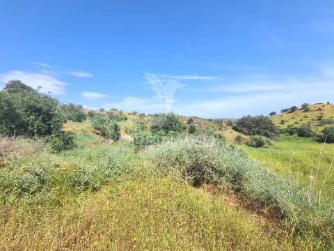 Ruina t2 com terreno