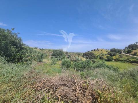 Ruina t2 com terreno