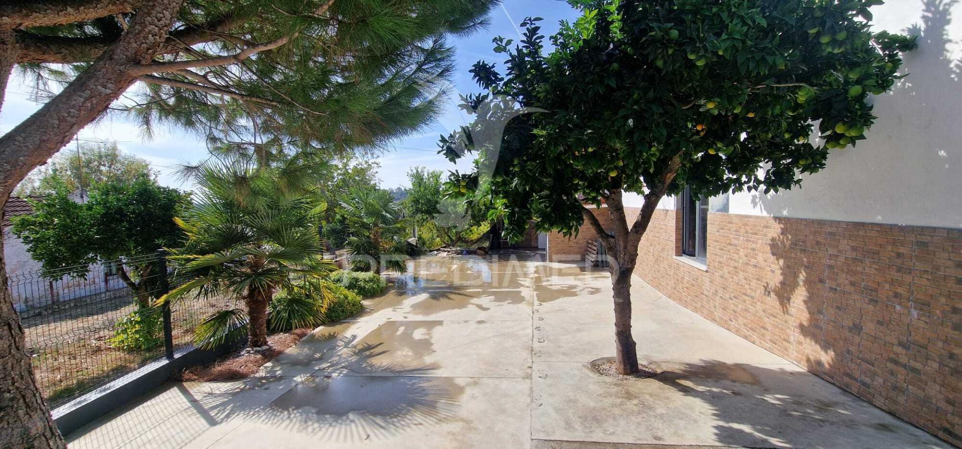 Excelente t2 recuperado com terreno e árvores de fruto