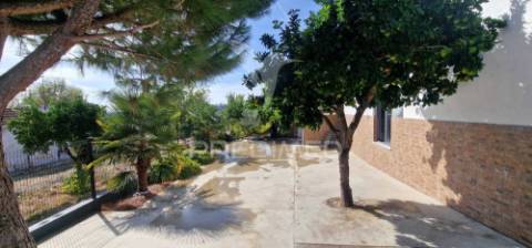 Excelente t2 recuperado com terreno e árvores de fruto