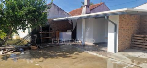 Excelente t2 recuperado com terreno e árvores de fruto