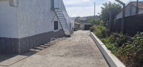 Excelente t2 recuperado com terreno e árvores de fruto