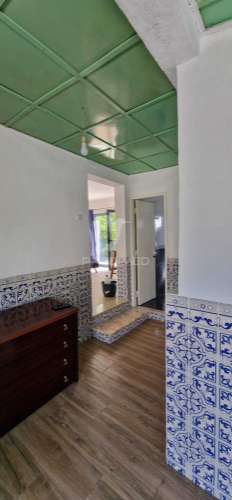 Excelente t2 recuperado com terreno e árvores de fruto