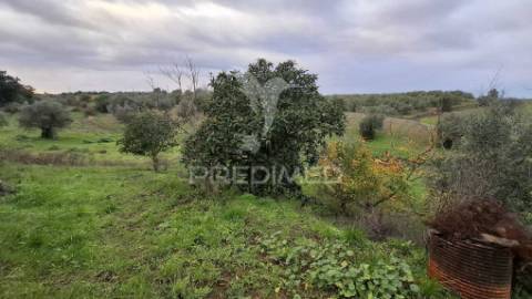 Moradia t1 pronta a habitar com terreno, santos, santarém.