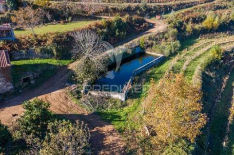 Vende-se quinta em cabeceiras de basto