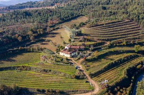 Vende-se quinta em cabeceiras de basto