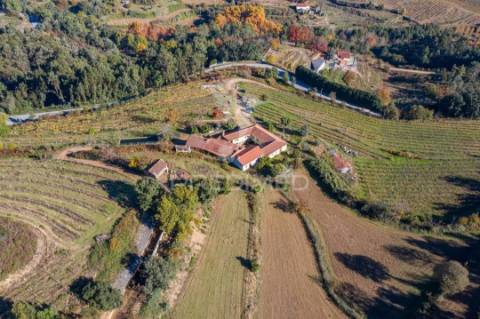 Vende-se quinta em cabeceiras de basto