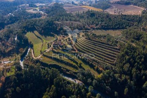 Vende-se quinta em cabeceiras de basto