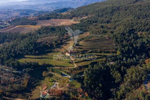 Vende-se quinta em cabeceiras de basto