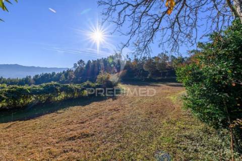 Vende-se quinta em cabeceiras de basto