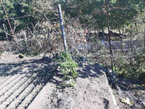 Excelente oportunidade de investimento em cavez, cabeceiras de basto