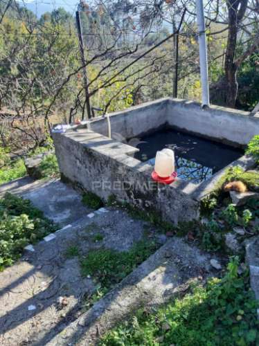 Excelente oportunidade de investimento em cavez, cabeceiras de basto