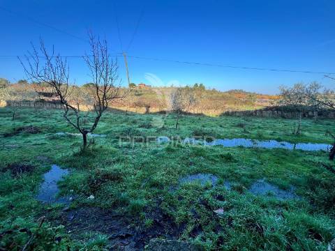 Moradia típica transmontana em candoso
