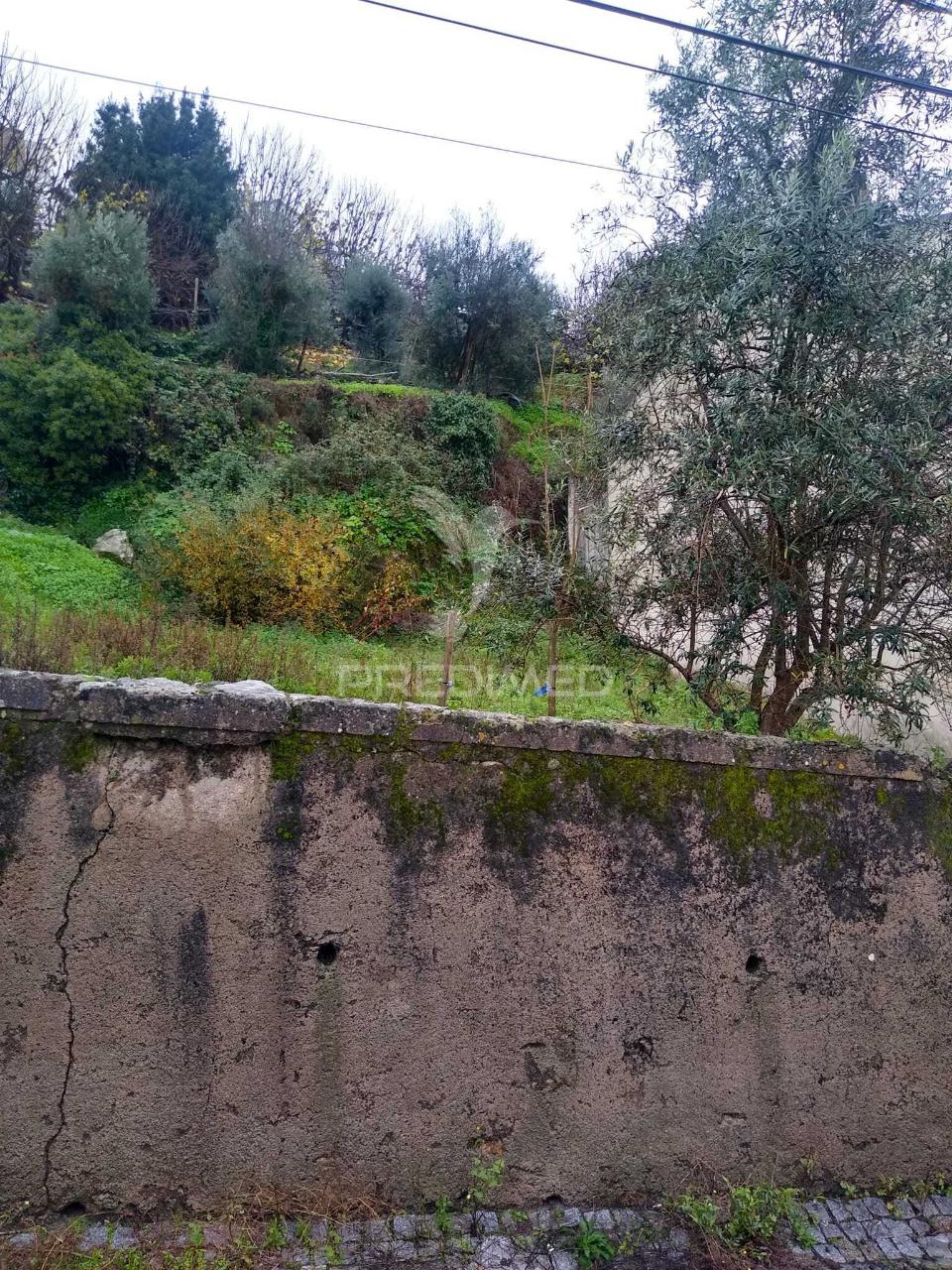 Terrena são bartolomeu