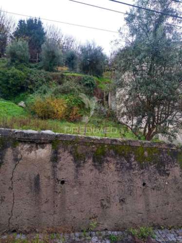 Terrena são bartolomeu