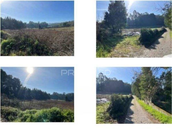 Terreno com 26.733 m² em zona de atividades económicas – trofa